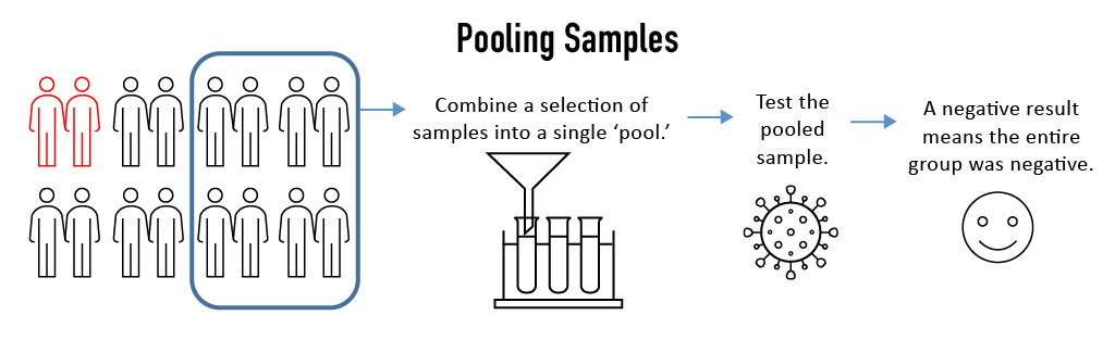 Sample pooling occurs when a lab mixes multiple samples together into a single batch (or “pooled sample”) to perform a single test on a group of samples, rather than test each individual sample. The underlying objective is simple: if the pooled sample tests negative, all of the constituent samples making up that batch are now known to be negative as well – with fewer tests needed to achieve the result. 